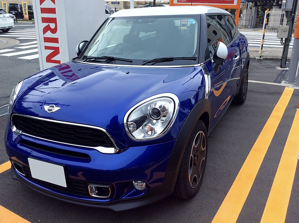 Mini Paceman